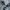 Skechers Minimalist Casual Fleece Pria gray photo 7