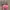 Hello Kitty Y2K Grunge Tote bag Wanita pink photo 1