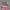 Hello Kitty Y2K Grunge Tote bag Wanita pink photo 2
