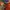 The North Face Y2K Sportswear Parka Pria orange photo 6