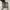 Nike Skater Sportswear Boots Pria gray photo 2