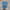Hollister Coquette Casual Hoody Pria Blue