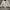 Issey Miyake Vintage Avant Garde Bomber jacket Pria white black photo 2