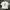 Anna Sui Casual T-shirt Wanita white photo 1