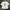 Anna Sui Casual T-shirt Wanita White