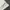Anna Sui Casual T-shirt Wanita white photo 5