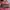 Valentino Bags & purse Wanita pink photo 4