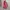 Valentino Bags & purse Wanita pink photo 1