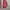 Valentino Bags & purse Wanita pink photo 2