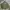 Vintage Track Jacket Pria Green