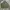 Vintage Track jacket Pria green photo 2