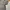 Polo Ralph Lauren Sportswear Casual Polo shirt Pria gray photo 2