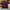 Polo Ralph Lauren Sportswear Casual Polo shirt Pria burgundy photo 1