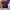 Polo Ralph Lauren Sportswear Casual Polo shirt Pria purple green photo 1