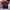 Polo Ralph Lauren Sportswear Casual Polo Shirt Pria Purple Green