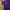 Polo Ralph Lauren Sportswear Casual Polo shirt Pria purple green photo 3