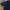 Polo Ralph Lauren Sportswear Casual Polo shirt Pria navy photo 3