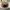 Carhartt Casual Hat Pria brown photo 4