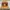 Carhartt Casual Hat Pria Brown