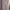 Uniqlo Minimalist Casual Midi dress Wanita tan photo 1