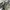 Anne Klein Bags & purse Wanita multicolor photo 3