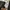Dickies Streetwear Casual Casual pants Pria brown photo 7