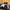 Dickies Streetwear Casual Casual pants Pria brown photo 5