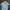 Polo Ralph Lauren Luxury Minimalist T-shirt Pria Multicolor