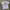 Made in USA Vintage Streetwear T-shirt Pria white photo 1