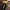 Caterpillar Casual Sneakers Pria tan photo 5