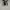 Converse Casual Sneakers Wanita white black photo 3