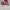Converse Casual Sneakers Wanita white pink photo 1
