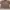 Casual Formal shirt Pria brown photo 1