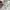 C.P. Company Vintage Harrington jacket Pria cream photo 7