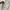 C.P. Company Vintage Harrington jacket Pria cream photo 5