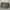 DKNY Bags & purse Wanita gray photo 1