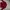 Vintage Denim jacket Pria red photo 2
