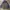The North Face Gorpcore Casual Trench coat Pria navy gray photo 3