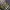 The North Face Gorpcore Casual Trench coat Pria navy gray photo 7