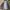 The North Face Gorpcore Casual Trench coat Pria navy gray photo 2