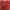 Champion Sportswear Sweater Pria Red