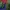 Casual Pea coat Pria green photo 3