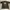 Avant Garde Windbreaker Pria green photo 1