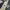 Fred Perry Sportswear Casual Sweatshirt Pria multicolor photo 2