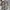 Noir Sur Blanc Y2K Indie Shirt Wanita tan brown photo 1