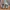 Adidas Casual Sneakers Pria gray photo 5
