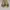 Onitsuka Tiger Casual Sneakers Wanita gold white photo 2