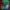 Chase Nascar Casual Pria red blue photo 7
