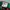 Chase Nascar Casual Pria red blue photo 3