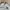 MLB Minimalist Casual Fleece Pria tan photo 4